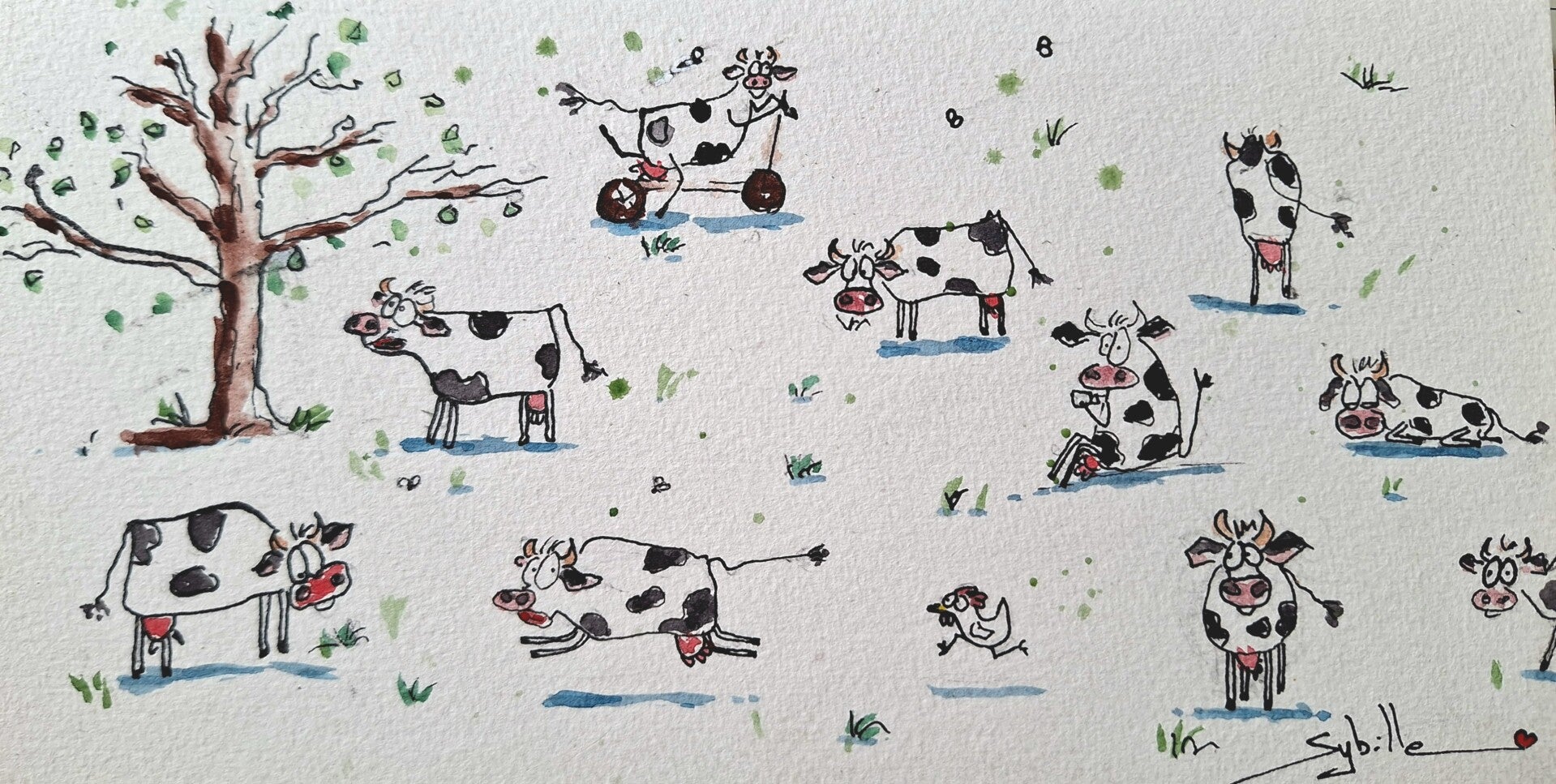 Un troupeau de vaches