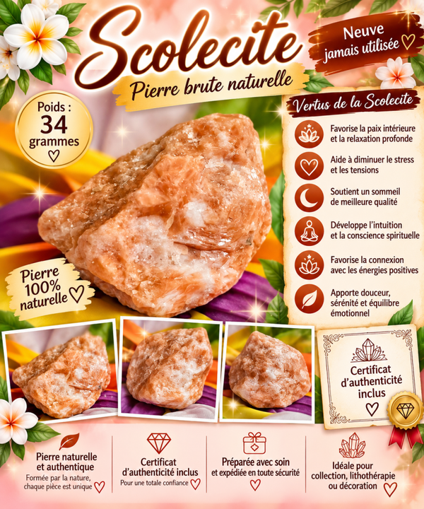 🧡 Pierre naturelle brute Scolécite – 34 g – Certificat d’authenticité inclus 💎