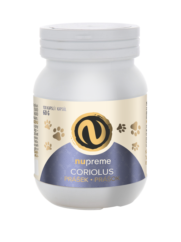 Coriolus Extrakt 100 Kapseln