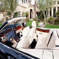 extravagant-pic-standard-g2brpg.jpg