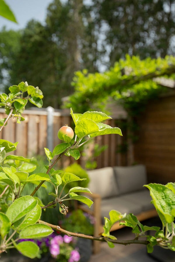 | TUINADVIES |