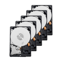 10XHD8TB HDS00146