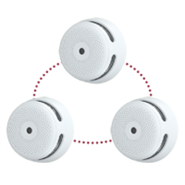 XS01-WR-3PACK FP00294