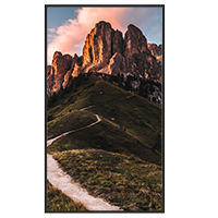 SF-65WF50-4K AV00140