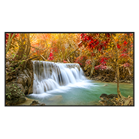DS-D6055UN-DP AV00239
