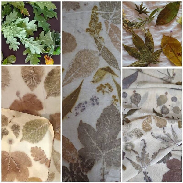 Kennismaken met ecoprinten