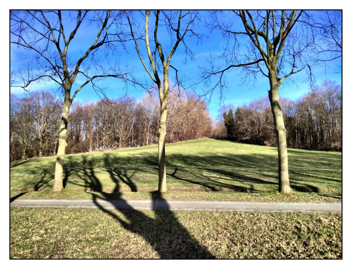 FOTO'S RIJSWIJK / RIJSWIJK / REIZEN DOOR NEDERLAND 2023 Photohdg