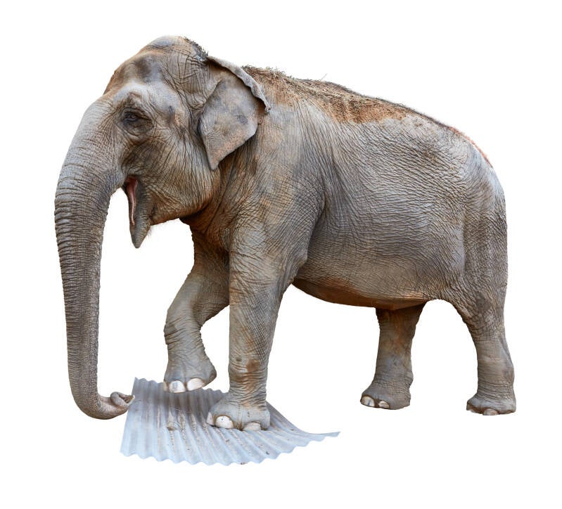 Polycarbonat Profilplatten Gerillt Trapez 76/18 ca. 1,4 mm Stark, in klar