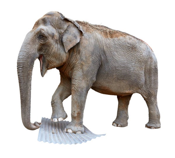 Polycarbonat Profilplatten Gerillt Trapez 76/18 ca. 1,4 mm Stark, in klar