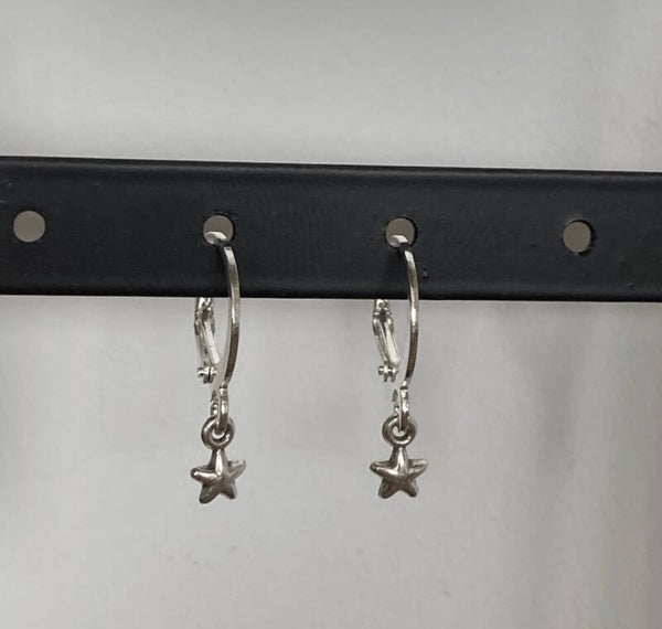 Dq sterretjes oorbellen