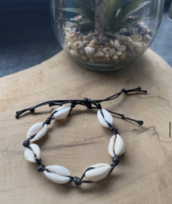 Kauri schelpen armband