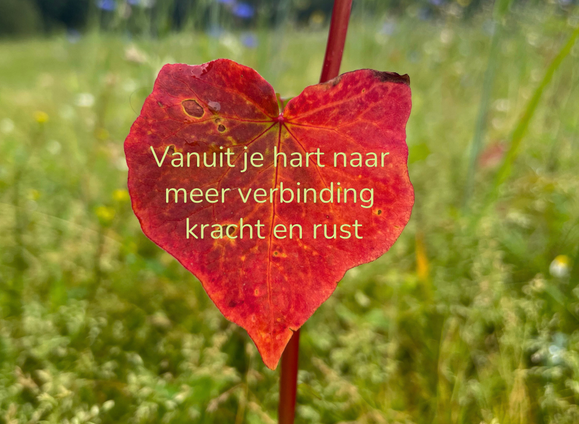 Rood hartvormig blad met de tekst " Vanuit je hart naar meer verbinding, kracht en rust' -als symbool voor yoga en verbinding in Silvolde.