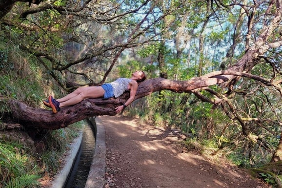 Yoga & Fit by Inge - ontspanning in de natuur, van FOMO naar JOMO met yoga, meditatie en ademhaling