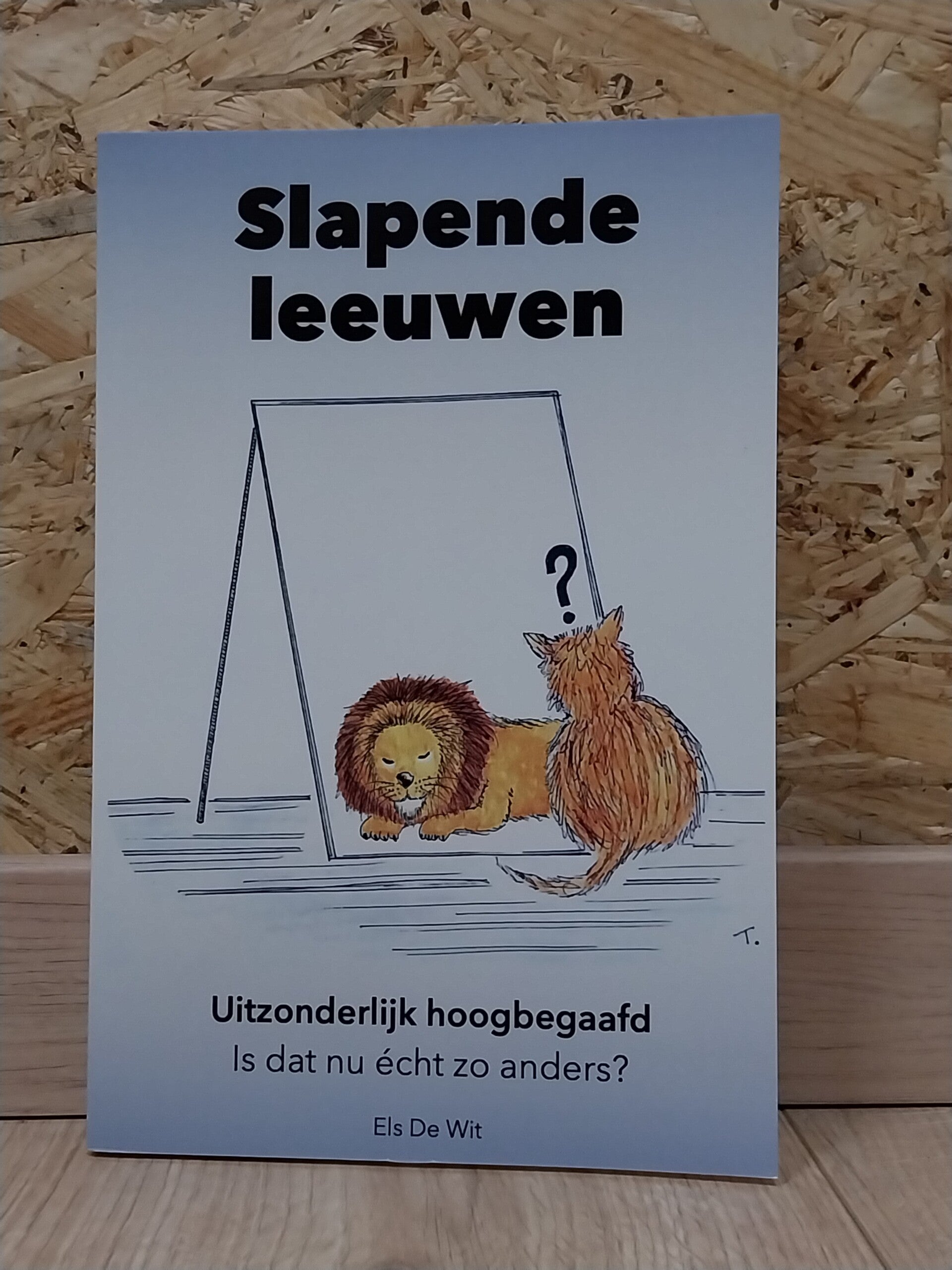 Slapende Leeuwen