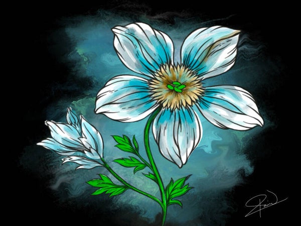 Mystic Flower