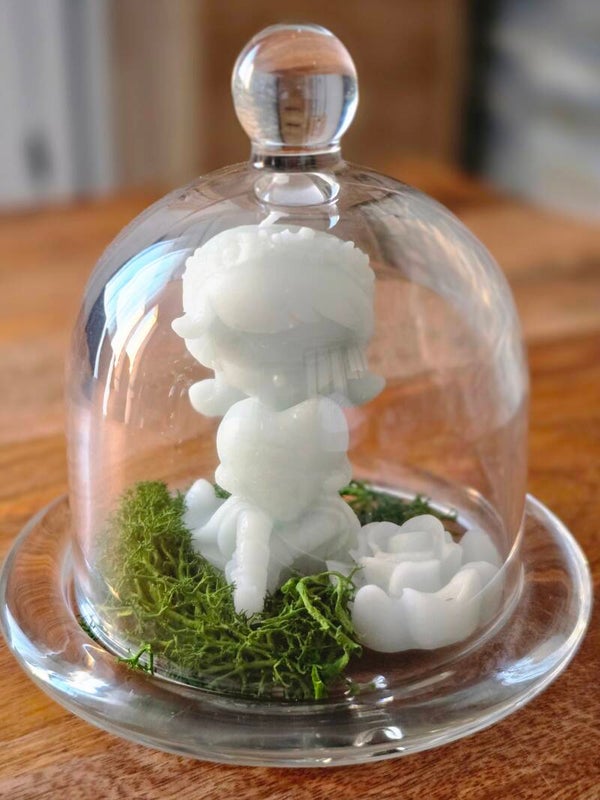 la fille sous cloche