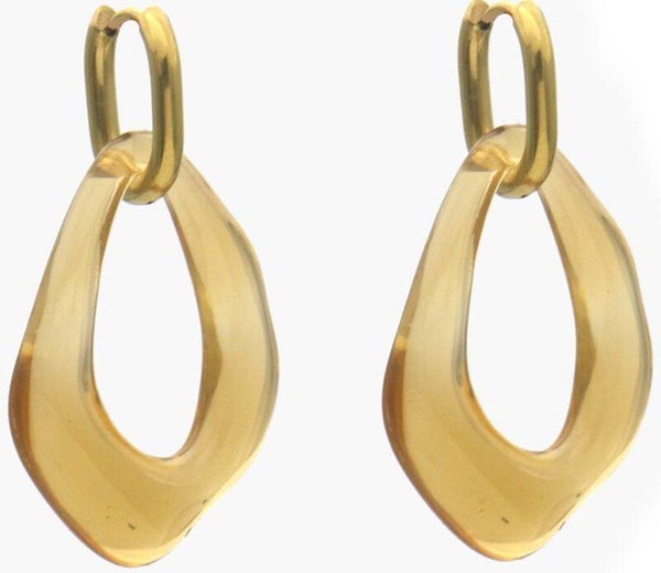 S. Steel Earring Acrylic Charm 4.5x2.5cm Brown