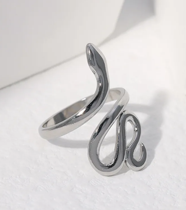 Zilveren Slangenvorm Stijl Ring