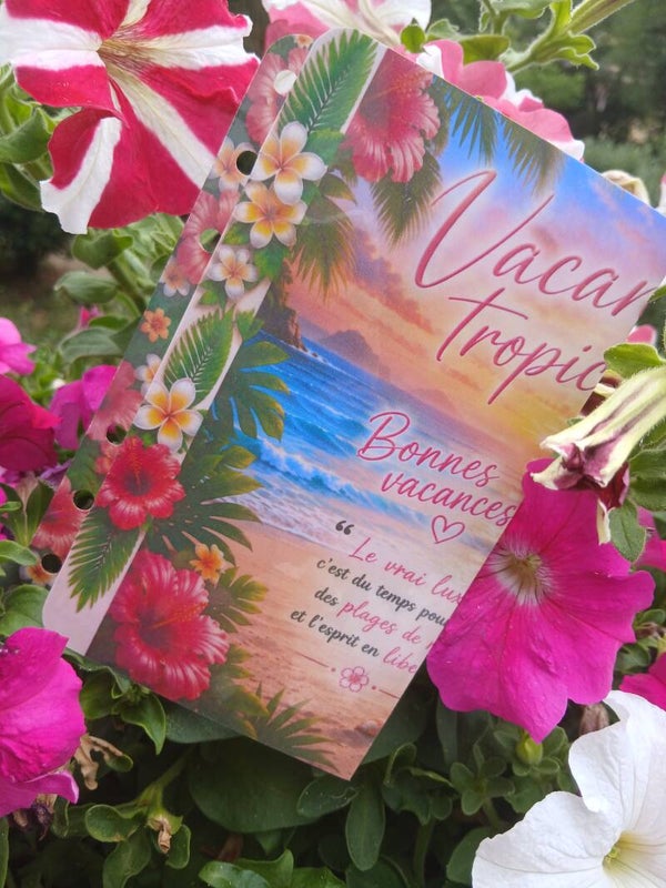 Vacances Tropical