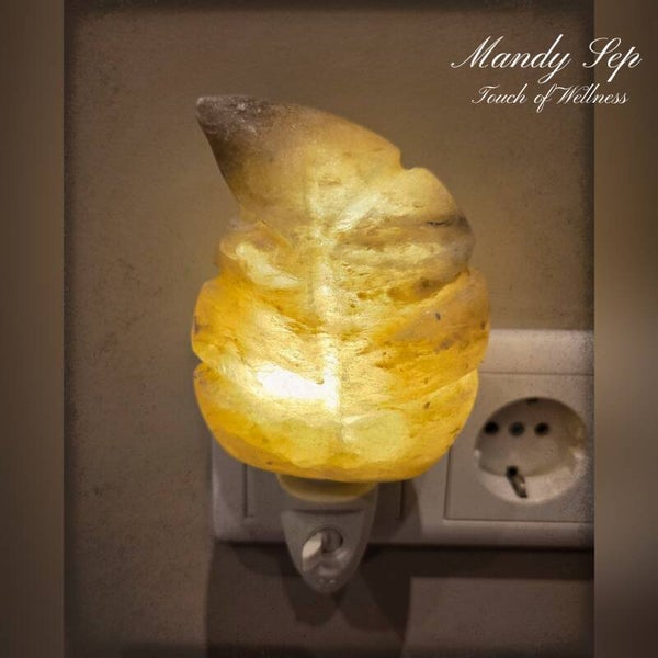 Nachtlampje - Zoutsteen Veer