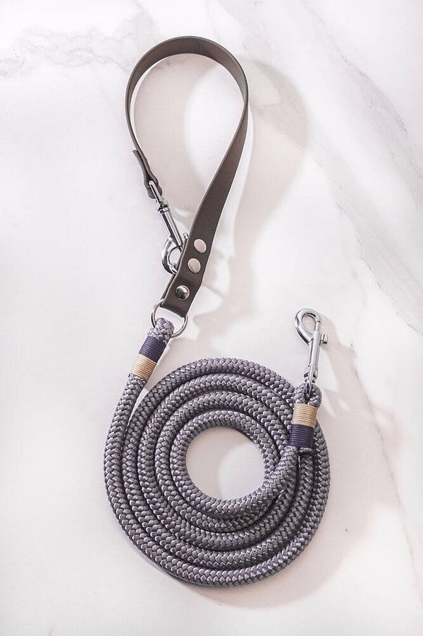 LEASH GRAY PAWFECTION!