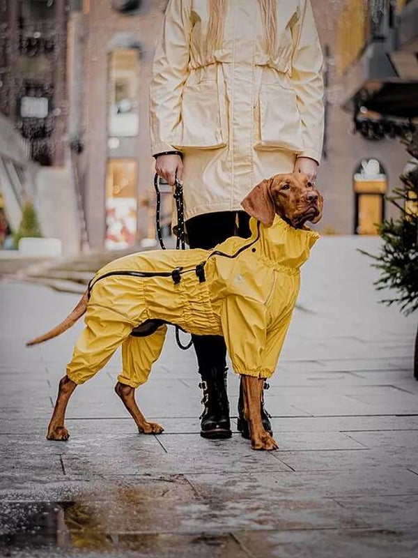 RAIN AND WINDPROOF OVERALL (YELLOW)