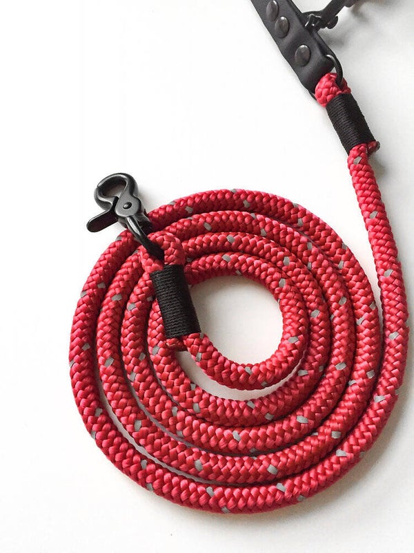 LEASH SAFELY HOME (RASPBERRY)