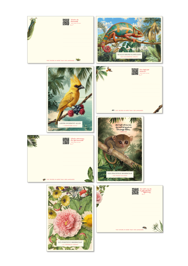 SET 02 NL - 4x 50 kaartjes