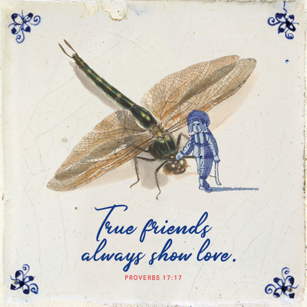 Tegeltje - Dragonfly - Engels