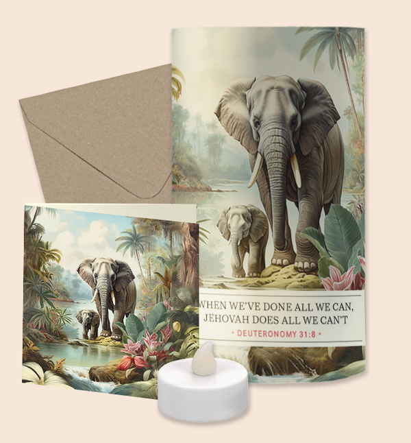 Lichtpuntje giftset - Elephant ENGLISH