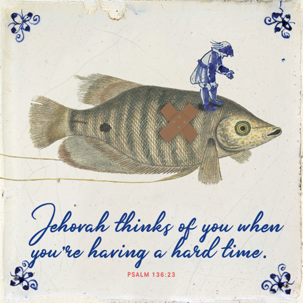 Tegeltje - Fish - Engels