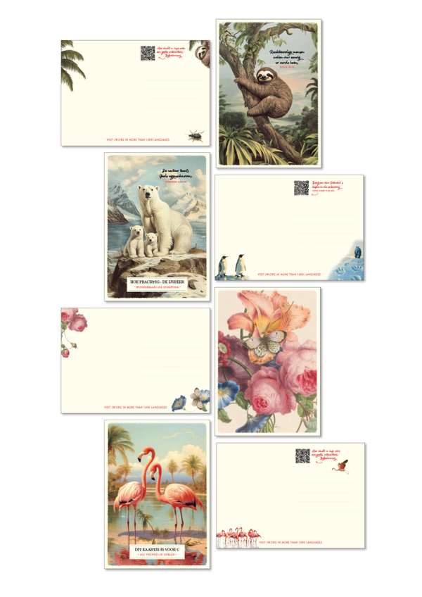 SET 01 NL - 4x 50 kaartjes