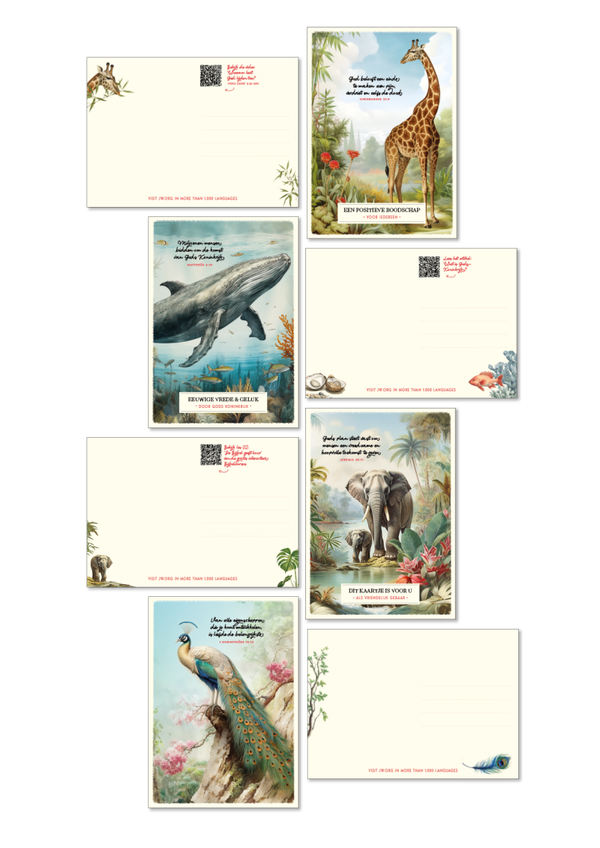 SET 03 NL - 4x 50 kaartjes