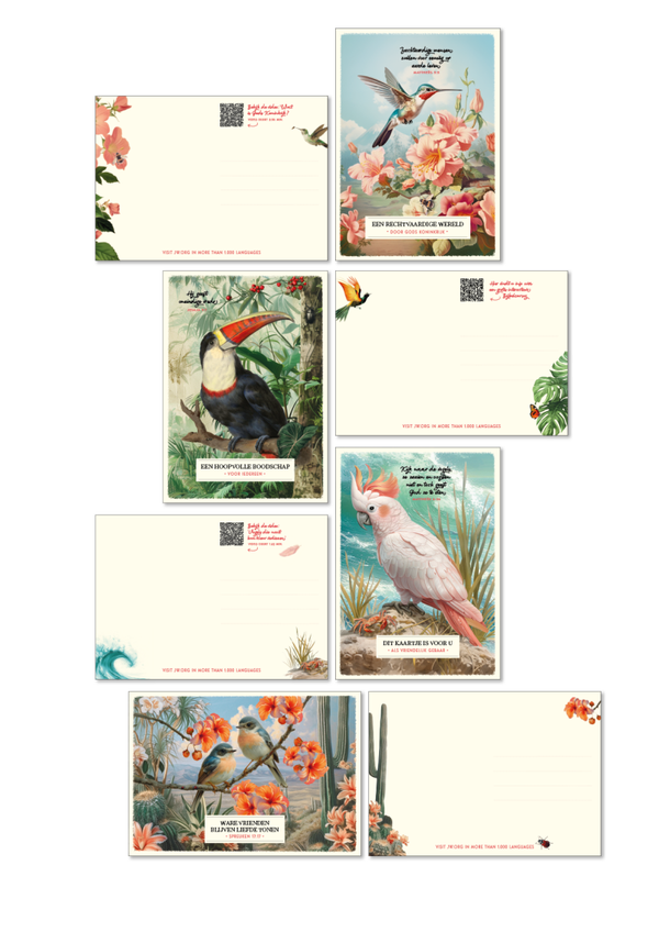 SET 04 NL - 4x 50 kaartjes
