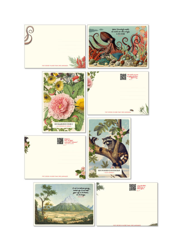 SET 02 NL - 4x 50 kaartjes