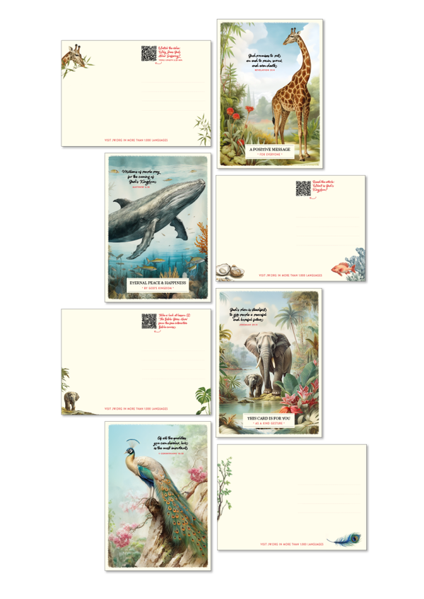SET 03 ENGELS - 4x 50 kaartjes