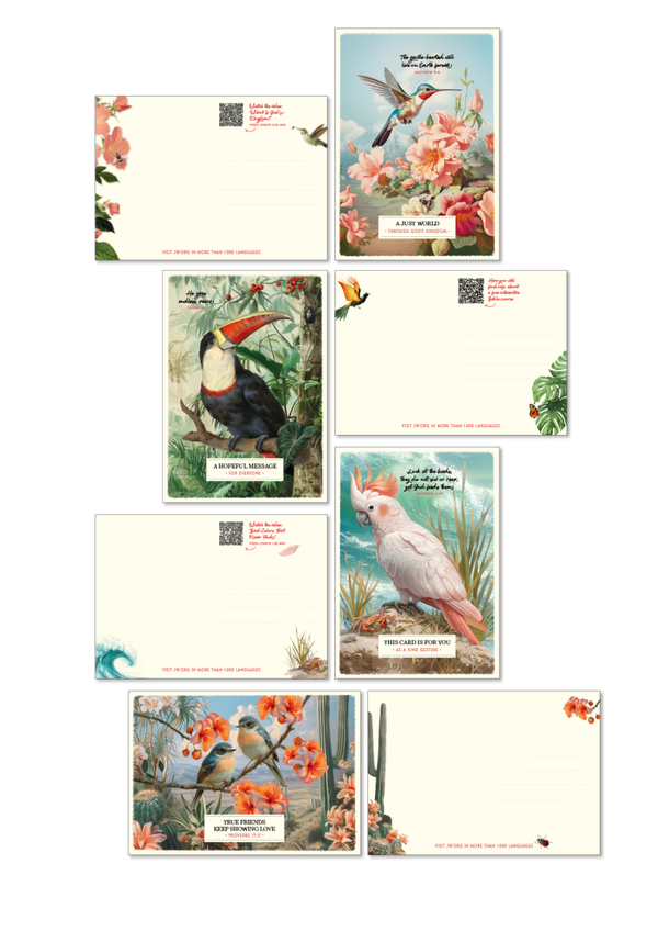 SET 04 ENGELS - 4x 50 kaartjes