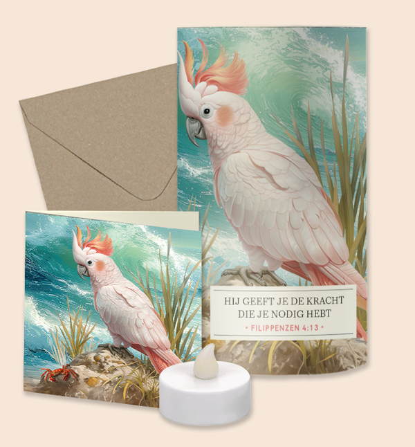 Lichtpuntje giftset - Kaketoe NL