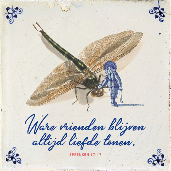 Tegeltje - Libelle - NL