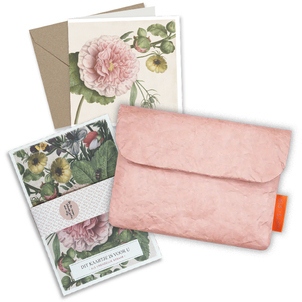Sakura roze vintage mapje + 48 kaartjes