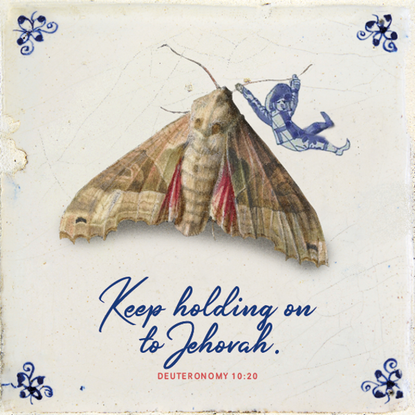 Tegeltje - Moth - Engels