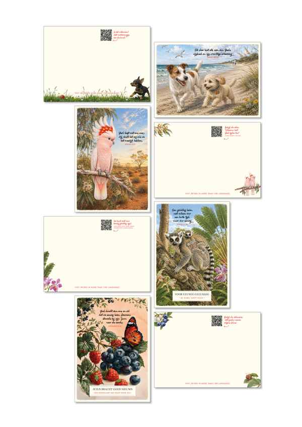SET 03 NIEUW NL - 4x 50 kaartjes