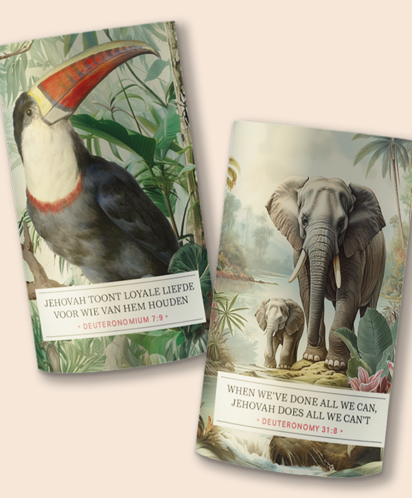 2 stuks mix naar keuze