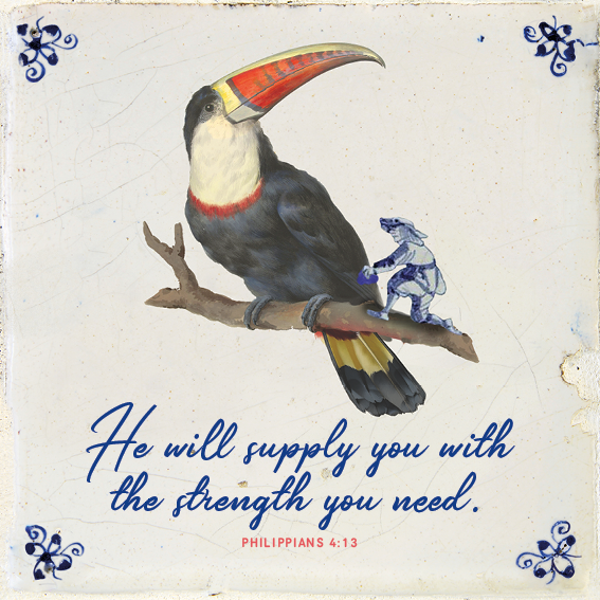 Tegeltje - Toucan - Engels