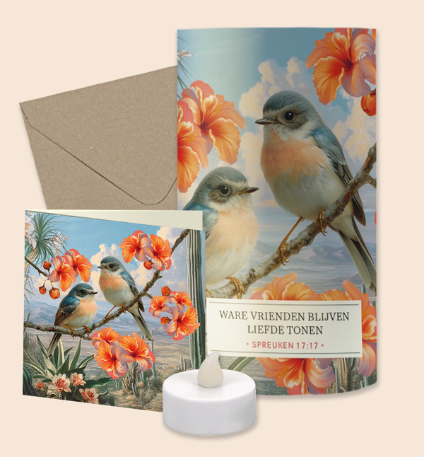 Lichtpuntje giftset - 2 vogels NL