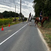 img_1474-standard.jpg