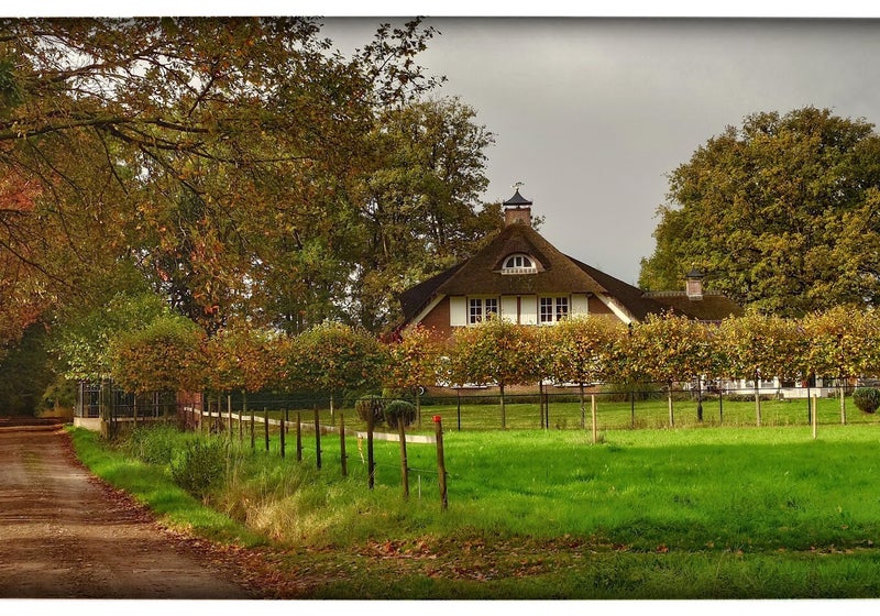 Brabant, kleurrijk Herfst 2025, Ossendrecht