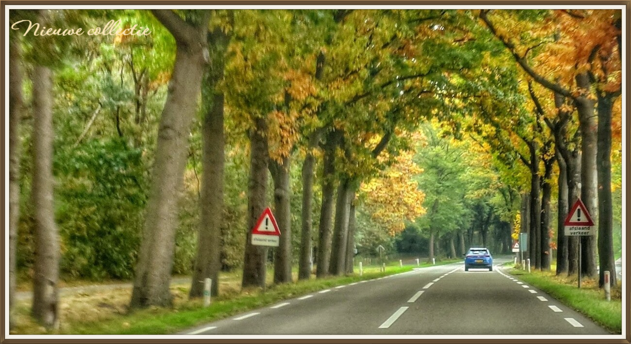 Brabant, kleurrijk Herfst 2025, Ossendrecht