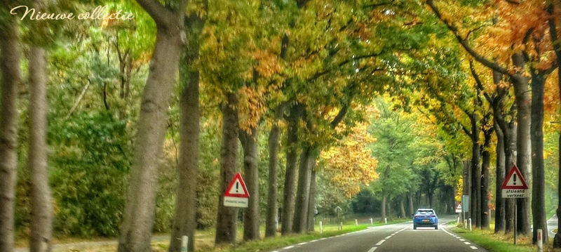 Brabant, kleurrijk Herfst 2025, Ossendrecht