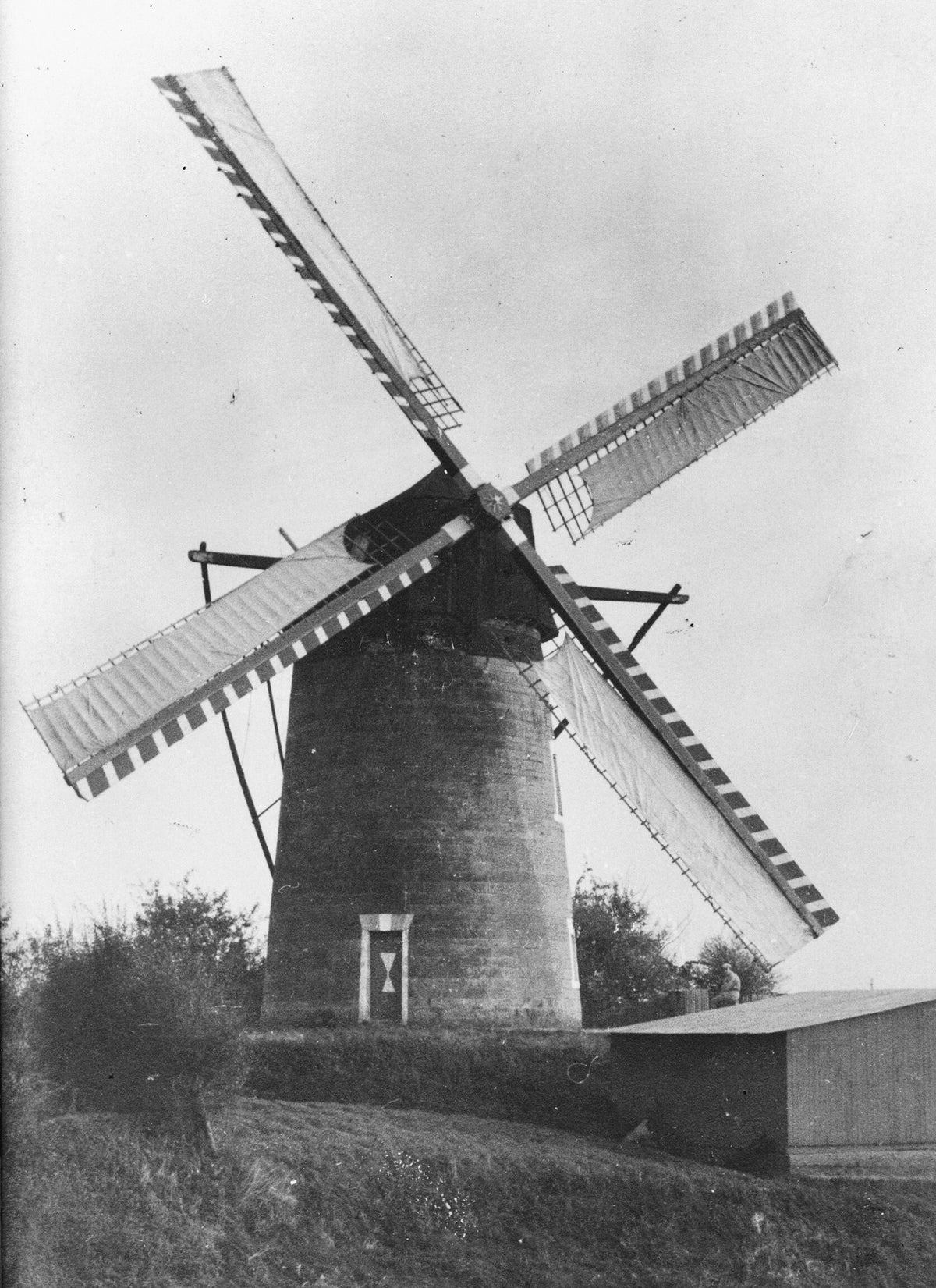 De molen | Van Tienhovenmolen